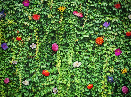 Mur floral